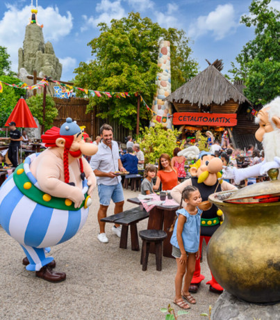 vends-10-places-parc-asterix-entree-2-jours-pour-famille-big-0