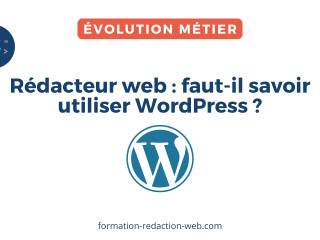 redaction-de-contenu-web-et-seo-expert-wordpress