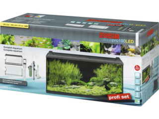 poissons-daquarium-eheim-pack-complet-de-10-guppys-et-4-neons