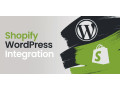 developpement-de-site-web-sur-mesure-expert-wordpress-et-shopify-small-0
