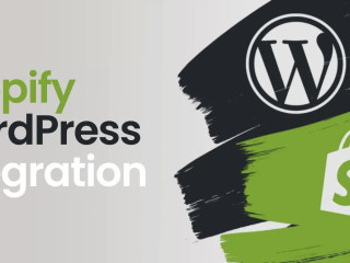 developpement-de-site-web-sur-mesure-expert-wordpress-et-shopify