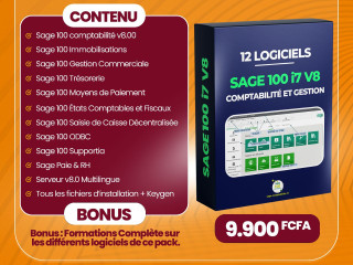 pack-complet-logiciel-sage-100-gestion-commerciale-comptabilite
