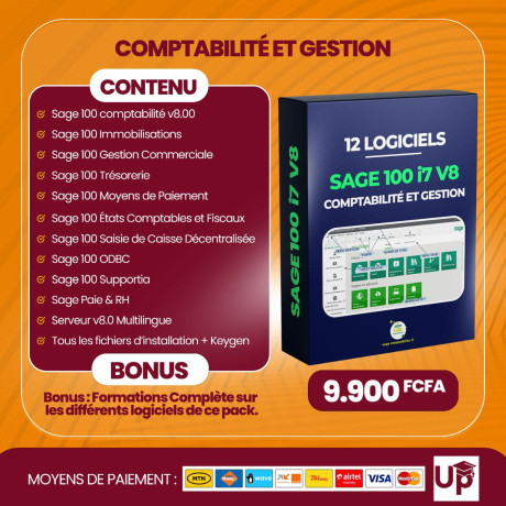 pack-complet-logiciel-sage-100-gestion-commerciale-comptabilite-big-0