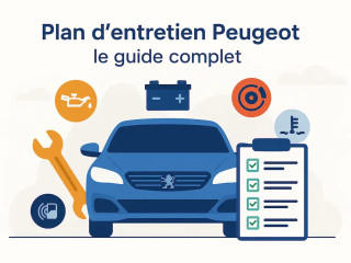 revision-complete-vidange-peugeot-206-308-3008