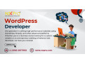 developpeur-web-freelance-expert-wordpress-shopify-small-0