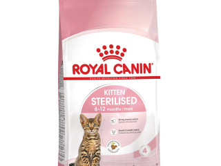chaton-royal-canin-vaccine-et-sterilise