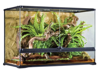 terrarium-exo-terra-pour-reptile