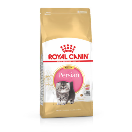chaton-royal-canin-siamois-et-persans-big-0
