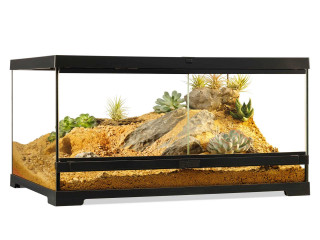 terraform-pro-exo-terra-complet-avec-lezard