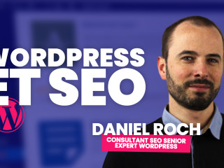 consultant-seo-expert-wordpress-senior