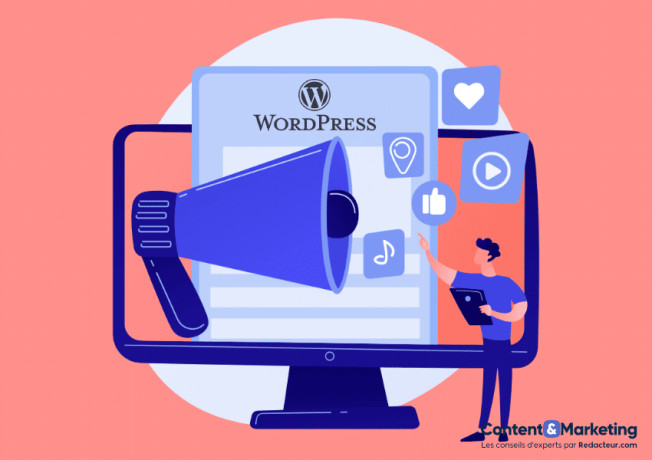 redaction-de-contenu-web-seo-expert-wordpress-big-0