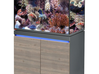 aquarium-complet-eheim-avec-poissons-et-accessoires