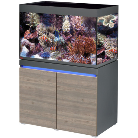 aquarium-complet-eheim-avec-poissons-et-accessoires-big-0