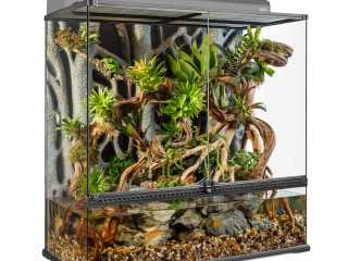 vivarium-exo-terra-en-verre-avec-decor-complet